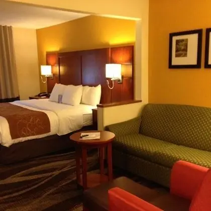 Comfort Suites Longview North