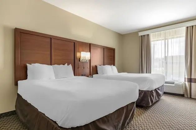 Comfort Suites Medical Center near Six Flags - Oda
