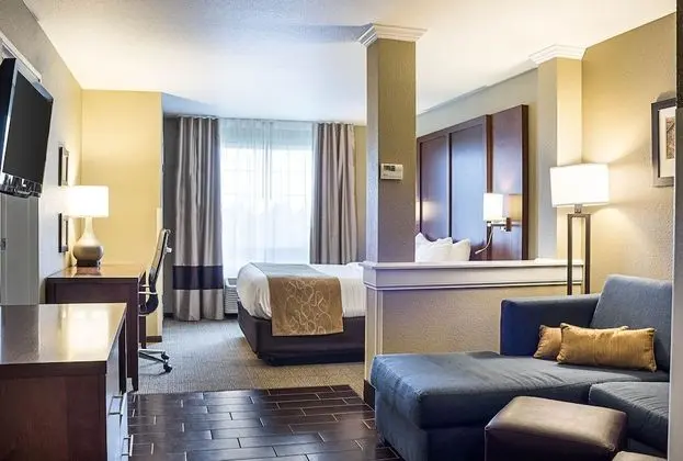Comfort Suites Minot - Oda