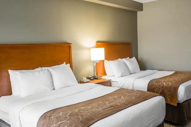 Comfort Suites Mountain Mile Area