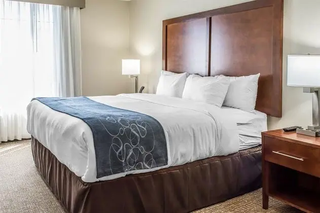 Comfort Suites Near Potomac Mills