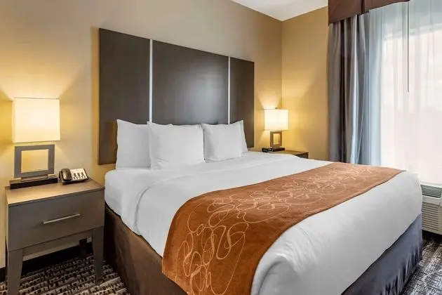 Comfort Suites Northwest Houston at Beltway 8 - Oda