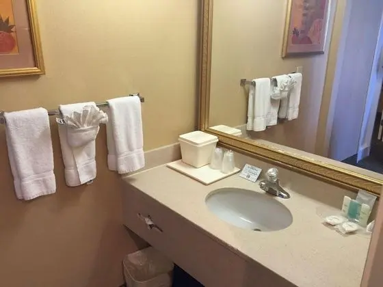 Comfort Suites (Oakbrook Terrace)