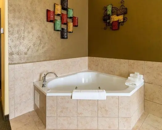 Comfort Suites Palestine Area