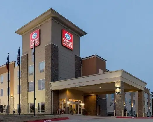 Comfort Suites Palestine Area - Genel