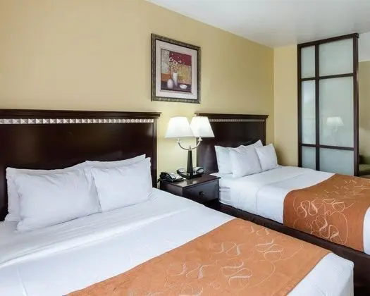 Comfort Suites Palestine Area - Genel