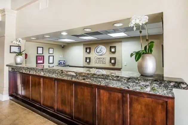 Comfort Suites Paradise Island - Lobi