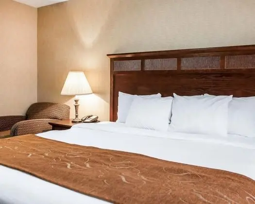 Comfort Suites Park Place