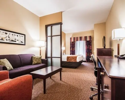 Comfort Suites Pecos - Oda