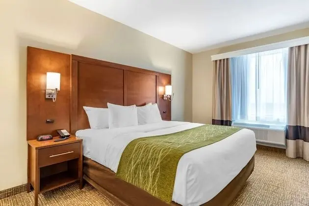 Comfort Suites San Antonio Ft. Sam Houston/SAMMC Area - Oda