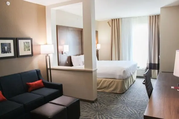 Comfort Suites - South Austin - Oda