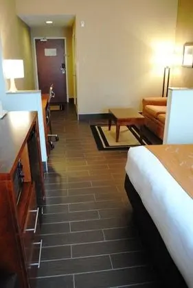 Comfort Suites South