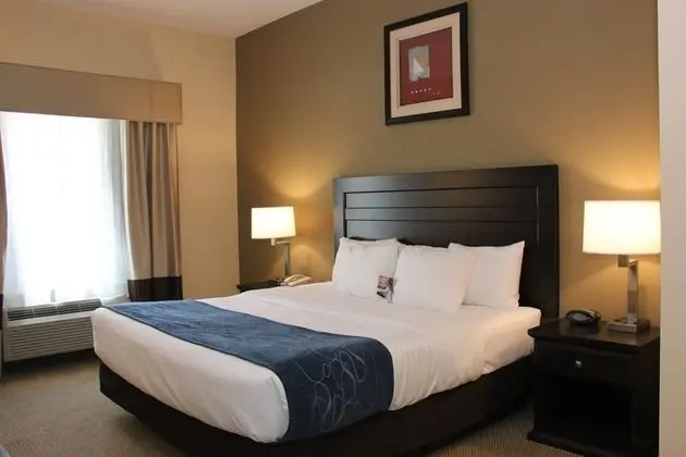 Comfort Suites University Area - South