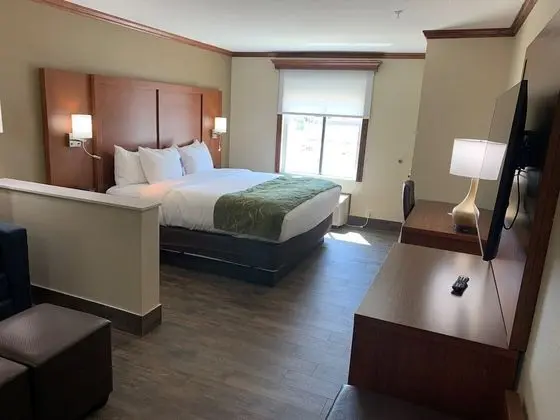 Comfort Suites West Monroe near Ike Hamilton Expo Center - Oda