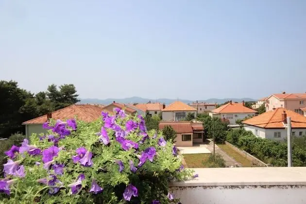 Comfortable Apartment for 5 Persons