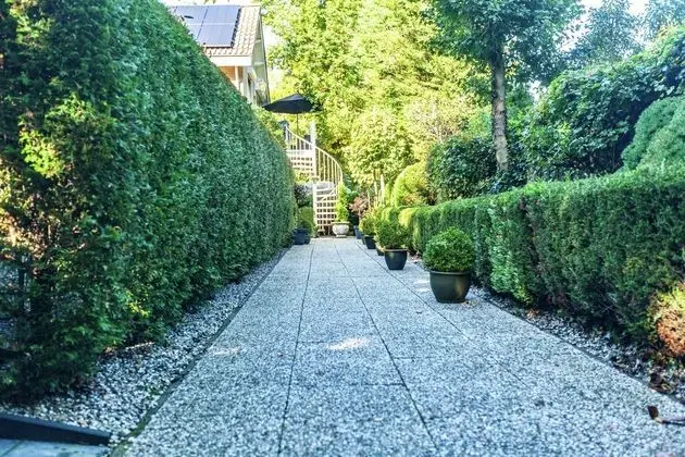 Comfortable Apartment in a Quiet Area, Nearby Woods and Beach - Lobi