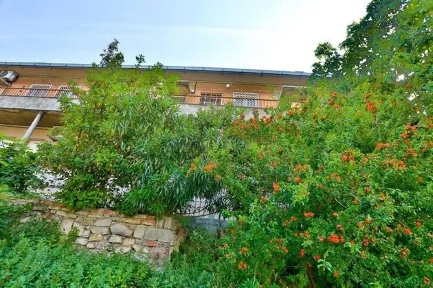Comfortable Apartment With Balcony & Garden View - Dış Mekan