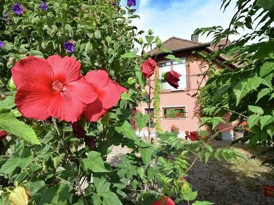 Comfortable Apartment in Freiburg With Garden - Öne Çıkan Resim
