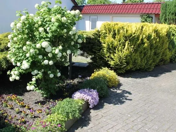 Comfortable Apartment Near Seabeach in Rerik - Dış Mekan