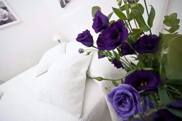 Comfortable Apartment Near the Vatican Free Wifi