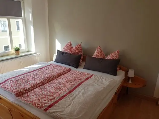 Comfortable Apartment in Saxony Near Centre - Oda