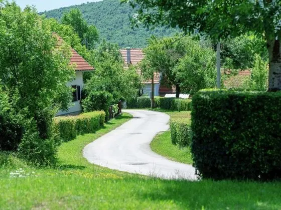 Comfortable Cottage Near Lake in Lovinac - Dış Mekan