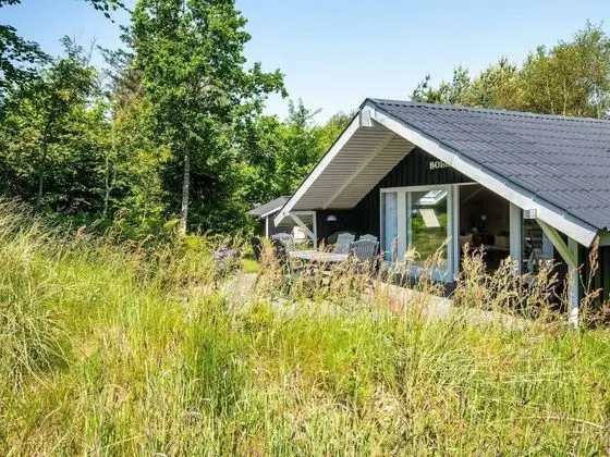 Comfortable Holiday Home in Ringkøbing With Roofed Terrace