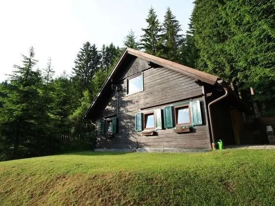 Comfortable Holiday Home With Sauna in Sankt Stefan - Dış Mekan