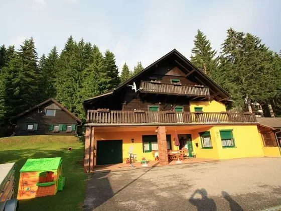 Comfortable Mansion in Wolfsberg Near Ski Area - Dış Mekan