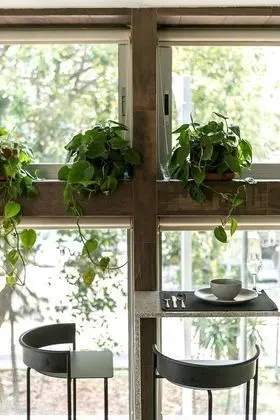 Comfortable Studio Near La Condesa - Yerinde Yemek