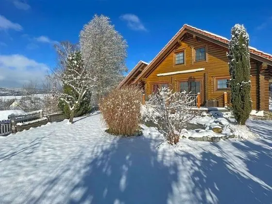 Comfortable Wooden Holiday Home With hot Tub, Sauna, Terrace and Private Garden