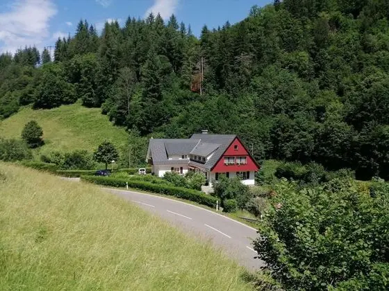 Comfy Apartment in Oppenau near Black Forest National Park - Dış Mekan