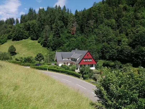 Comfy Apartment in Oppenau near Black Forest National Park - Dış Mekan