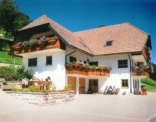 Comfy Apartment in Salmensbach near River