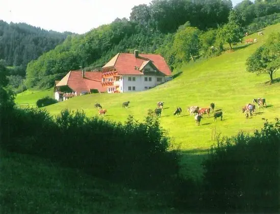 Comfy Apartment in Salmensbach near River - Dış Mekan