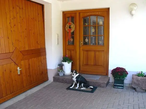 Comfy Apartment in Salmensbach near River - Lobi