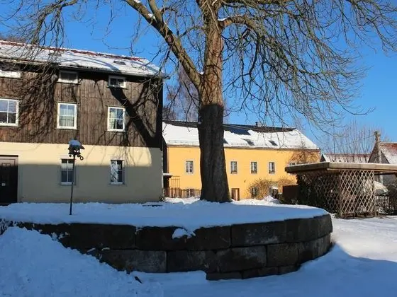 Comfy Apartment in Weißig With Garden