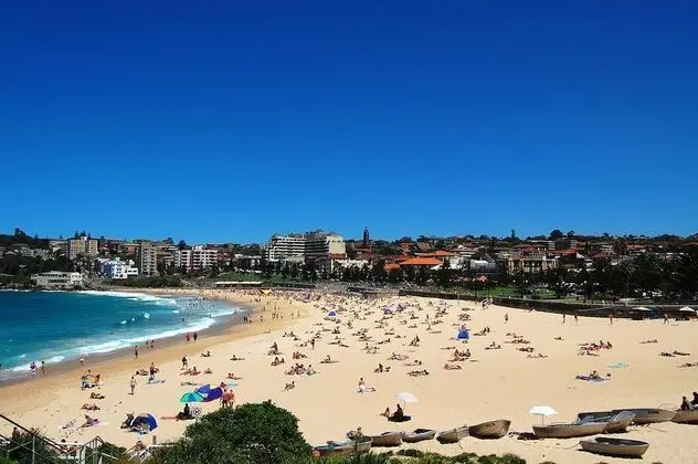 Comfy Coogee Living H328