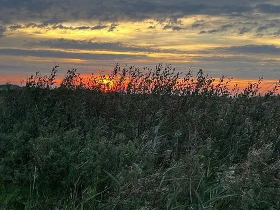 Comfy Holiday Home in Ebeltoft With Swimming Pool