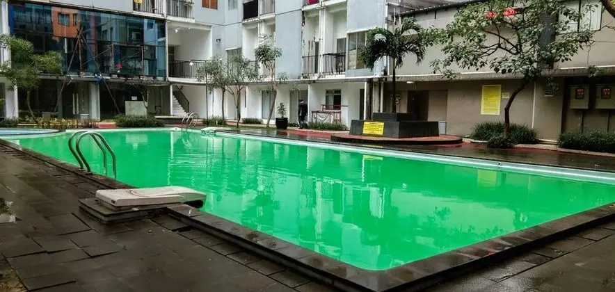 Comfy And Homey Studio Paragon Village Apartment Karawaci - Havuz
