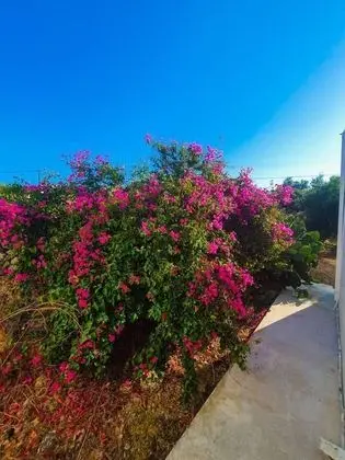 Comfy Two-bed Country House in Apokoronas - Dış Mekan