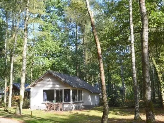 Completely Detached Bungalow in a Nature-filled Park by a Large fen