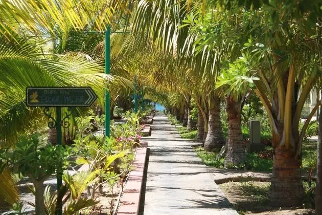 Con Ga Vang Resort - Dış Mekan