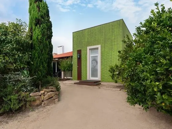 Concei o Cela in Cela