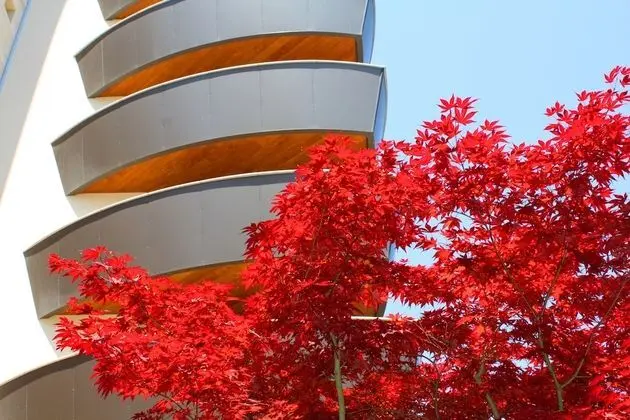 Condominio Torre Bahia - Dış Mekan