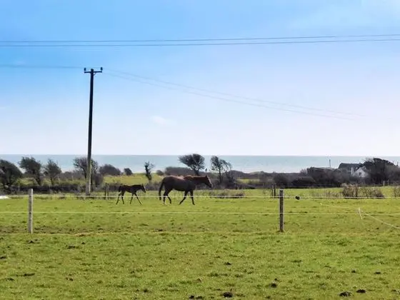 Coninbeg Holiday Cottage