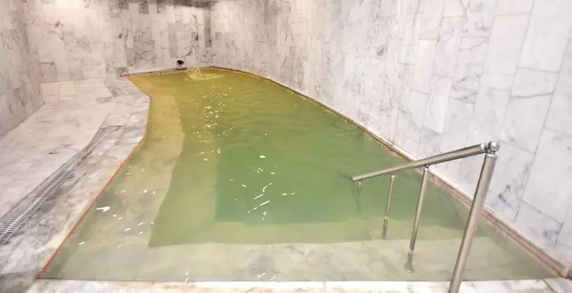 Connect Thermal Hotel - Ryokan Tesisleri