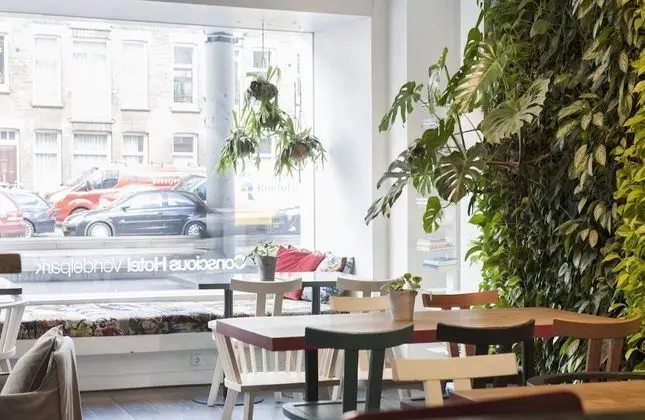 Conscious Hotel Vondelpark - Lobi