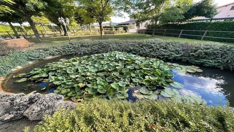 Contemporary Villa With Pool - Spello By The Pool - Sleeps 11 Exclusively Yours