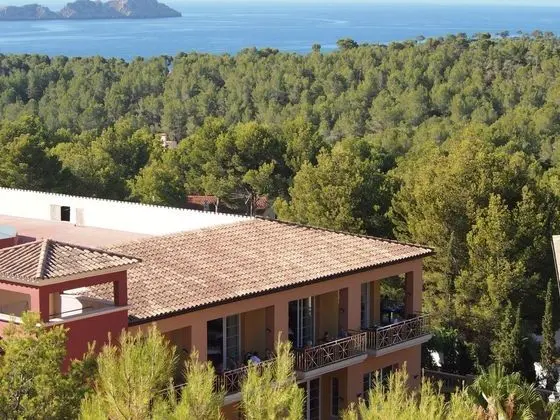 Continental Don Antonio